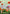 1_52946cb2-6b08-4ca0-910d-13c1255cfc94
