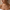 Chic Circle Halskette