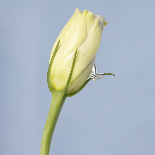 Color:White Gold
Option:Single
Option:Pair