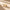 FLATBACK_398e9bf5-1cf4-4450-a477-080a18bc1e1f