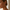 Boucles d'oreilles de chaîne de papier daity muse