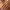 Anneau de baguette minimal or