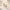 HOOPS_3ad4cc90-90db-46bd-9612-7a70eb9ba827.webp