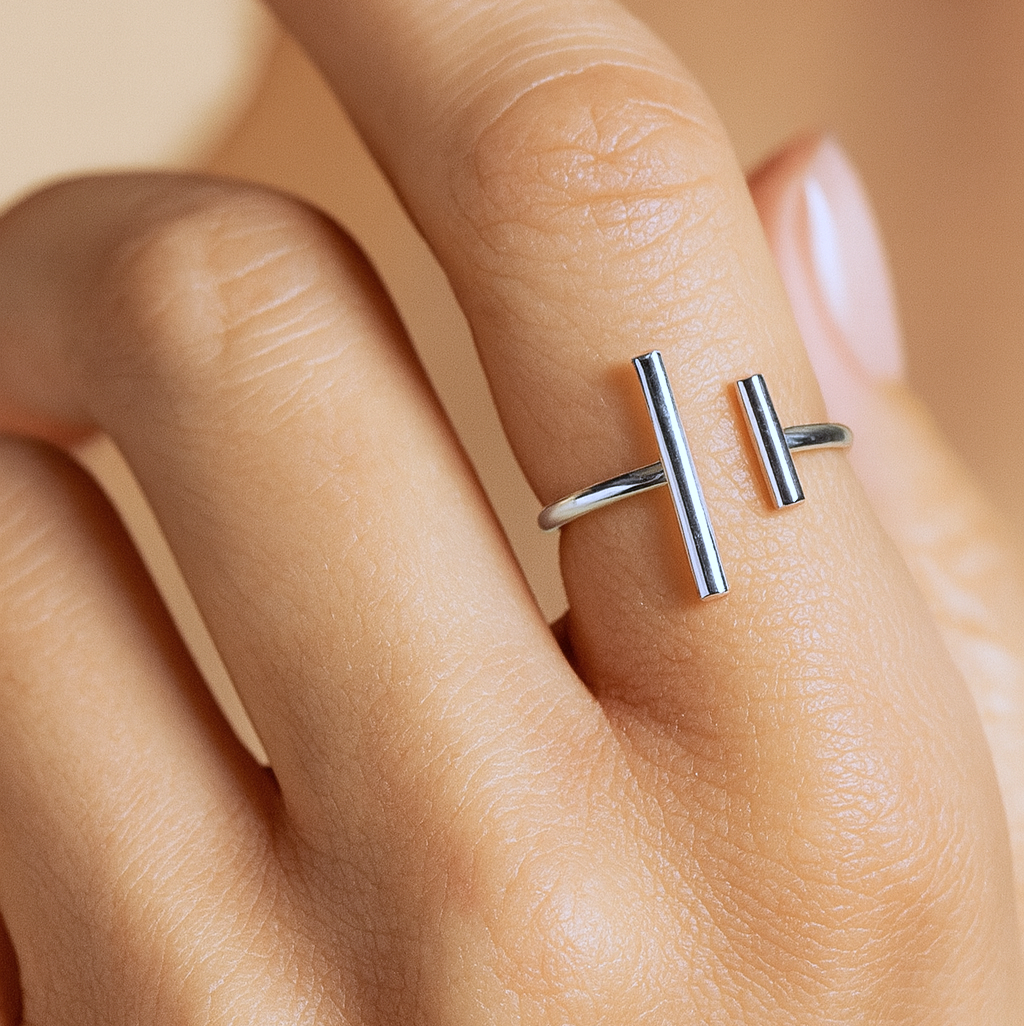 Anillo de doble barra de plata