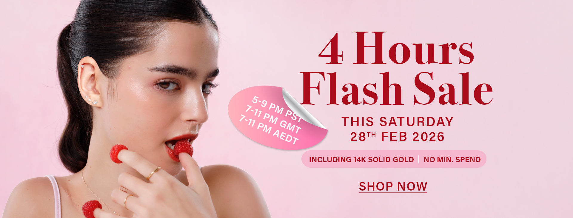 BANNER_FEB_26-28_no_SALEDesktop