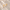ChatGPT_Image_May_7_2026_11_52_13_AM