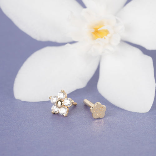 14K Massivt Gull Bloom Flatback Øredobb