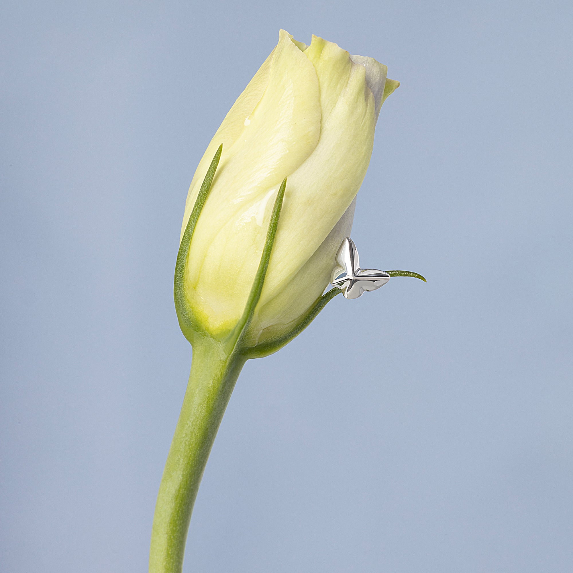 Color:White Gold
Option:Single
Option:Pair