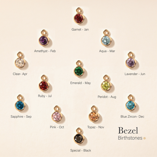Personalized Birthstones Crystal Disc Bracelet