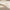 HUGGIE_1_e3ccefe2-f862-4618-b999-7ee8e53474b6