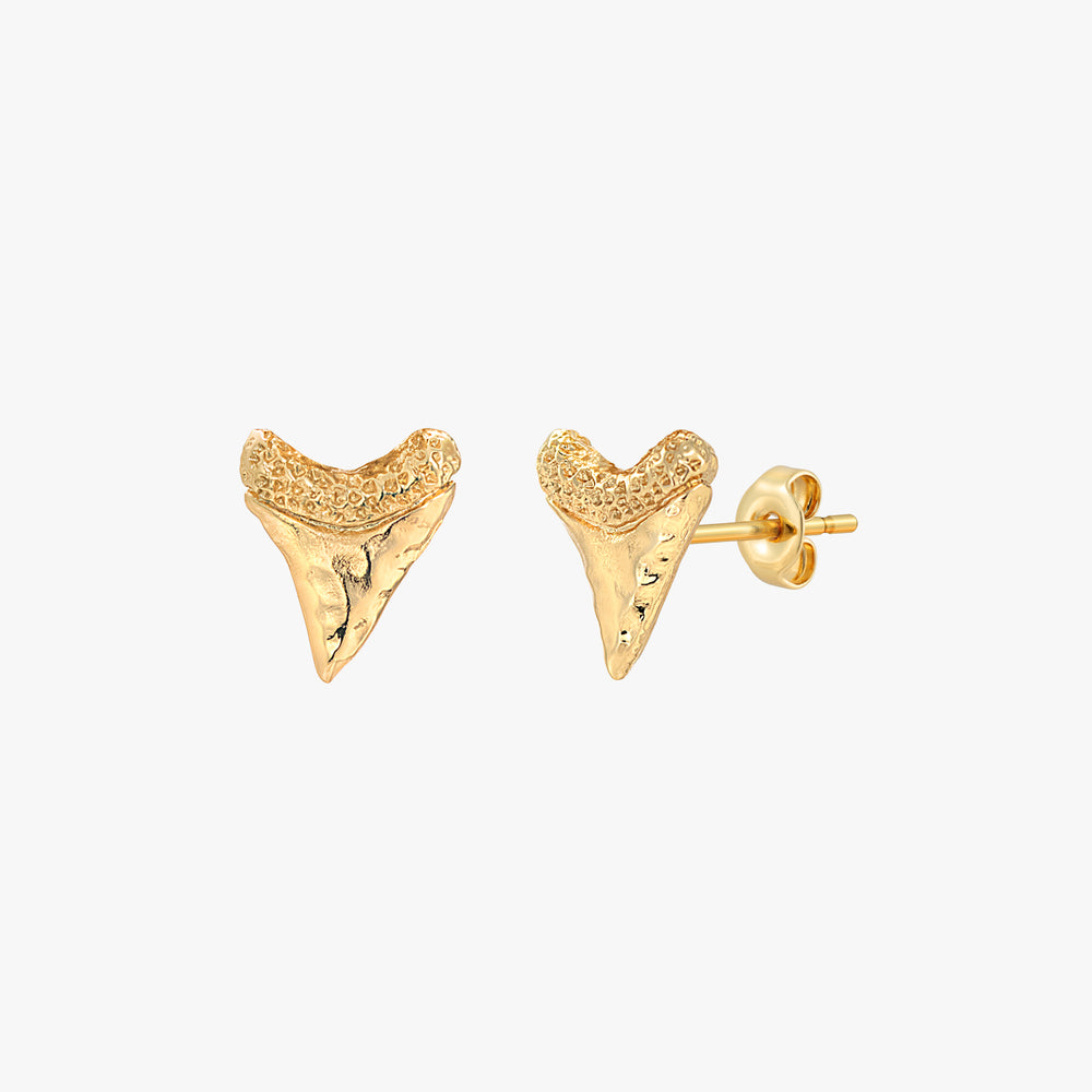 Baby Shark Tooth Stud Earrings – J&CO Jewellery