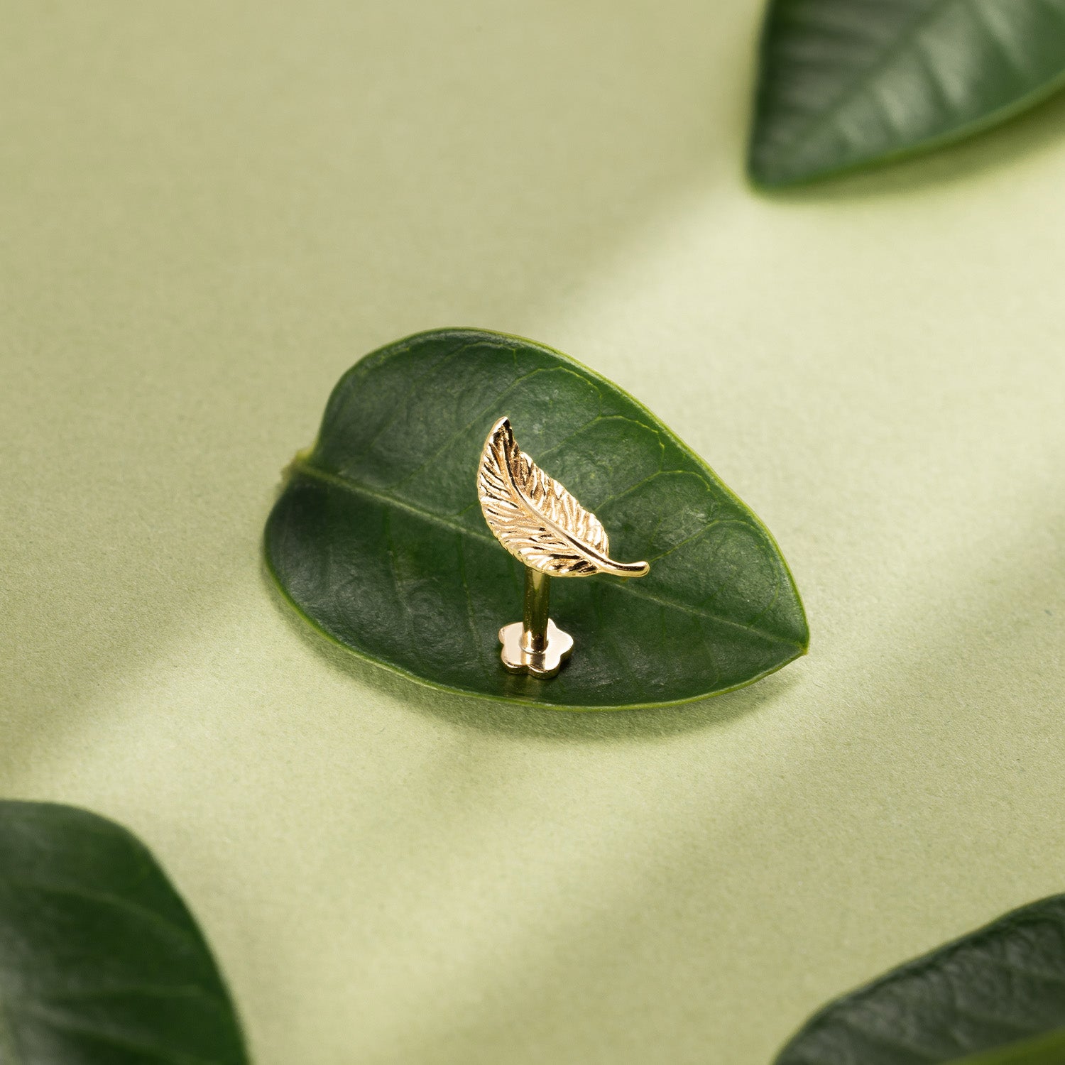 14K Solid Gold Single Leaf Flat Back Earring – J&CO Jewellery