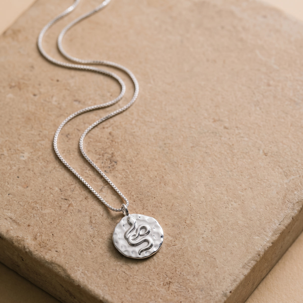 Snake Hammered Disc Necklace