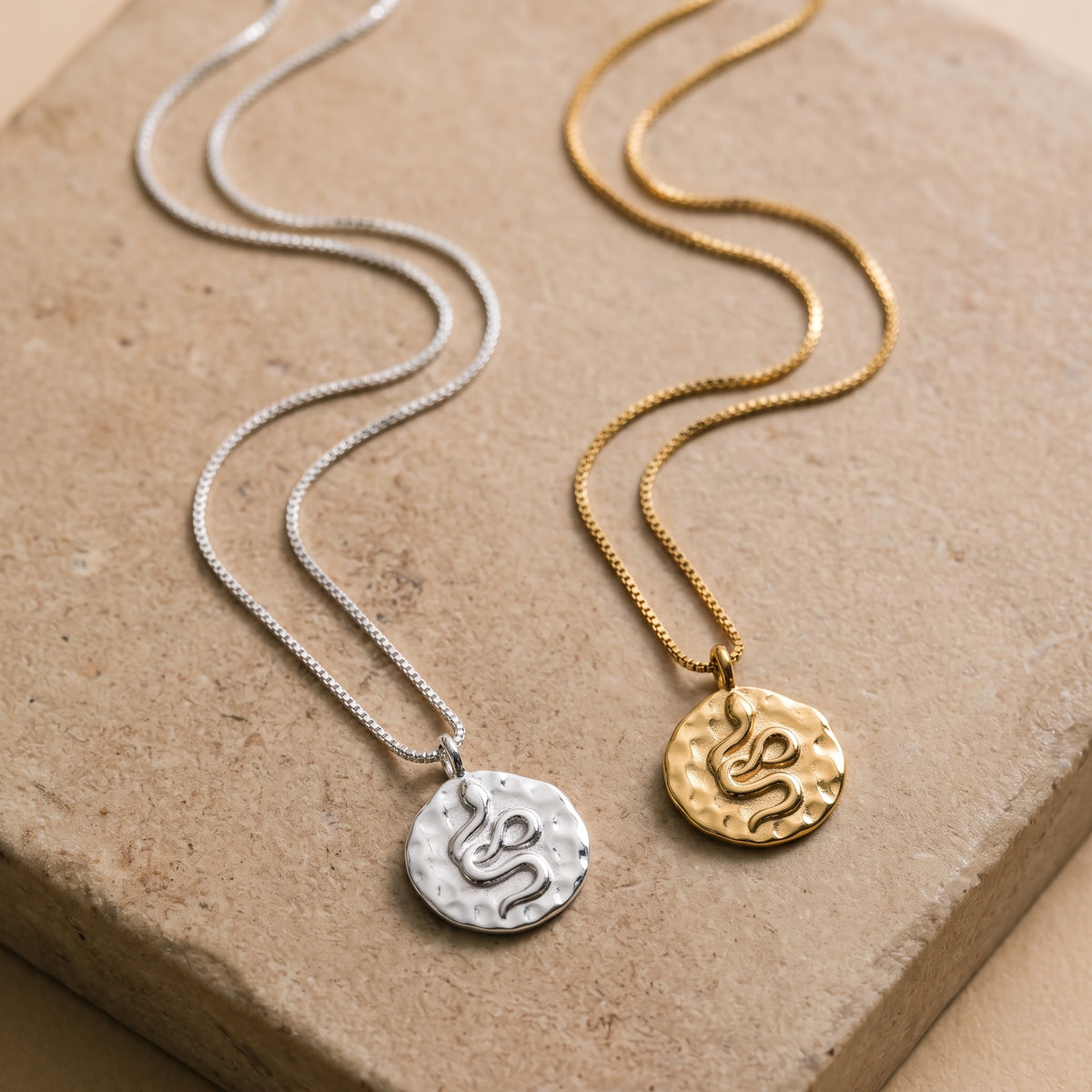 Snake Hammered Disc Necklace