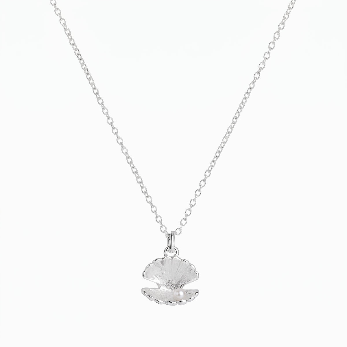 Collier de coquille de palourde