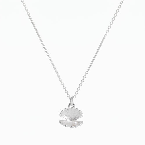 Collier de coquille de palourde