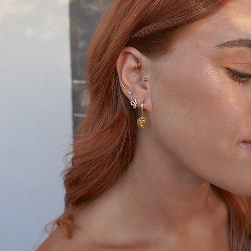 Snake Hammered Disc Hoop Earrings