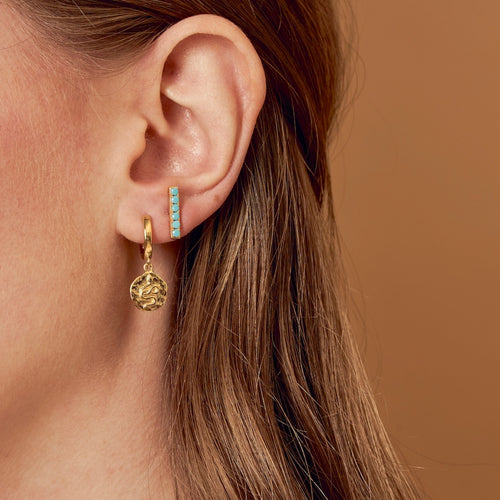 Snake Hammered Disc Hoop Earrings